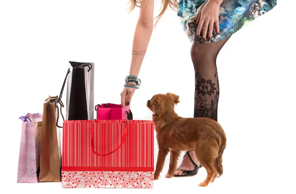 Señora con perro compras aislado sobre fondo blanco —  Fotos de Stock