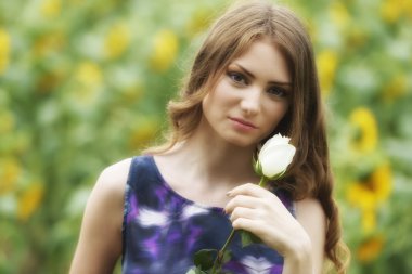 Gül ayçiçekleri alanı üzerinde yalan ile romantik kadın