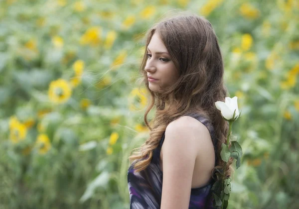 Romantische Frau mit Rose auf Sonnenblumenfeld liegend — Stockfoto