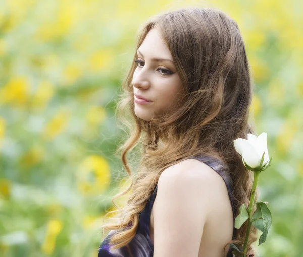 Romantic woman with rose lying on sunflowers field — Stock Photo, Image