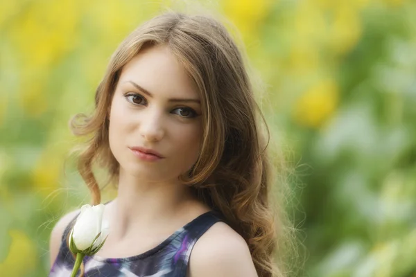 Mujer romántica con rosa acostada en el campo de girasoles — Foto de Stock