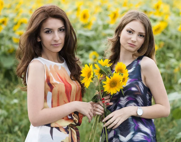 Twee jonge mooie meisjes in met wilde bloemen bloemen, die velden — Stockfoto