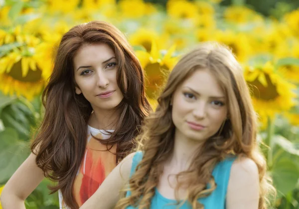 Dos chicas hermosas jóvenes en el campo con flores silvestres, fuera —  Fotos de Stock