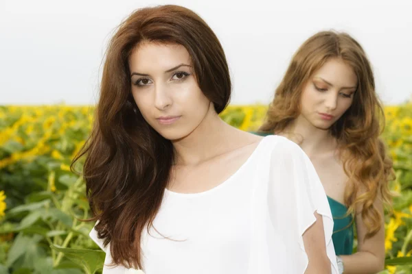 Dos chicas hermosas jóvenes en el campo con flores silvestres, fuera —  Fotos de Stock