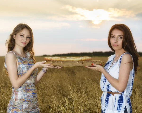 Dos chicas hermosas jóvenes en el campo con flores silvestres, fuera —  Fotos de Stock