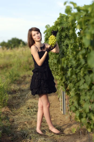 Frau inspiziert Trauben in einem Weinberg — Stockfoto