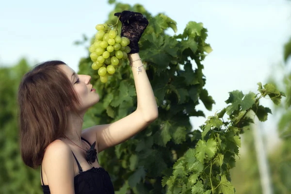 Женщина осматривает виноград в винограднике — стоковое фото