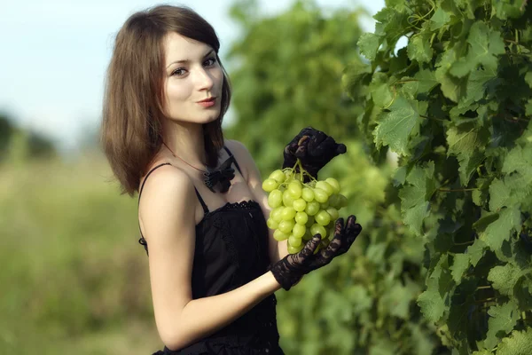 Frau inspiziert Trauben in einem Weinberg — Stockfoto