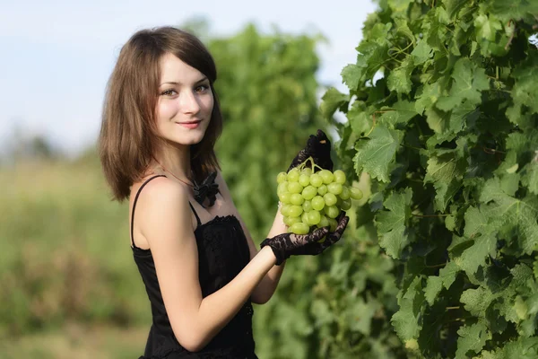 Frau inspiziert Trauben in einem Weinberg — Stockfoto