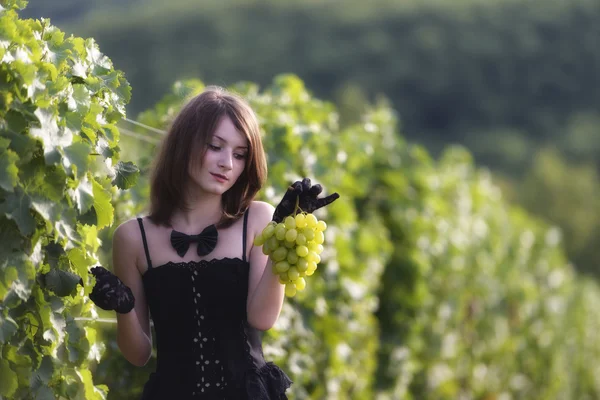 Frau inspiziert Trauben in einem Weinberg — Stockfoto