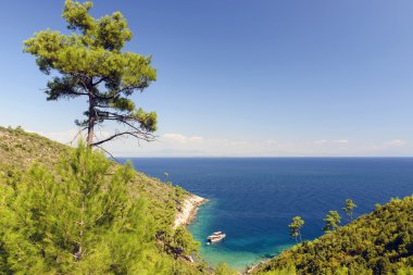 gemi bay.tassos bağlantılı. Yunanistan.