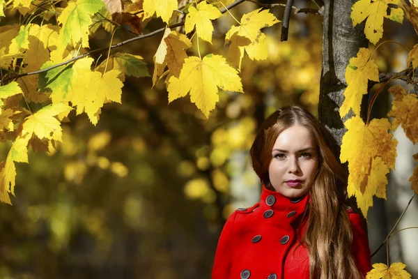 Vacker elegant kvinna stående i en park på hösten — Stockfoto