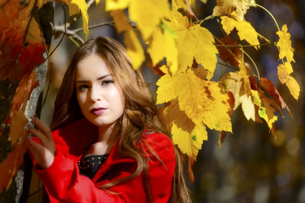 Vacker elegant kvinna stående i en park på hösten — Stockfoto