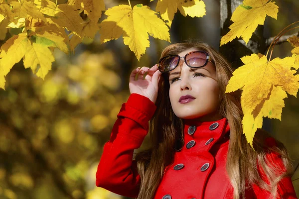 Krásná mladá dívka při pohledu na podzimní pozadí — Stock fotografie
