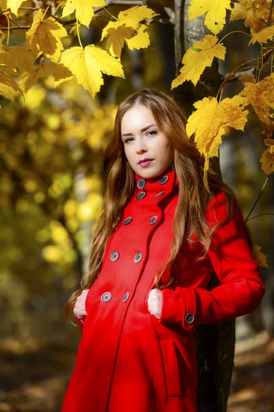 Beautiful elegant woman standing in a park in autumn — Stock Photo, Image