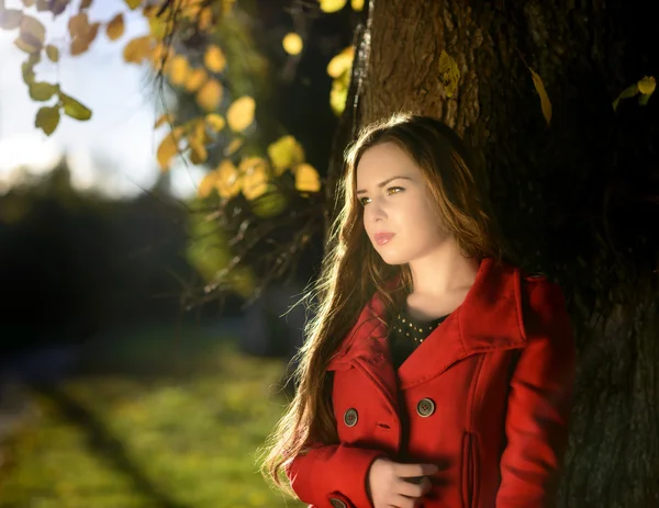 Mooie elegante vrouw in een park in de herfst — Stockfoto