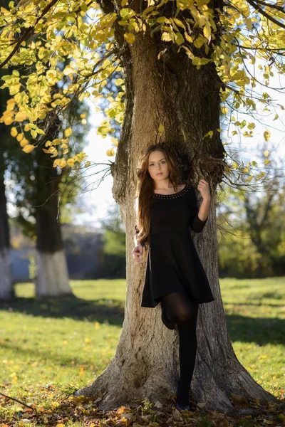 Piękna elegancka kobieta stojąca jesienią w parku — Zdjęcie stockowe