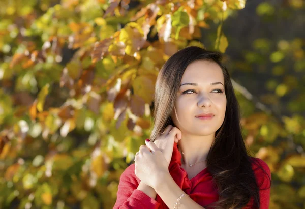 Giovane donna in un romantico scenario autunnale — Foto Stock