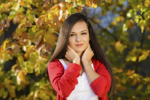 Jeune femme dans un paysage d'automne romantique — Photo