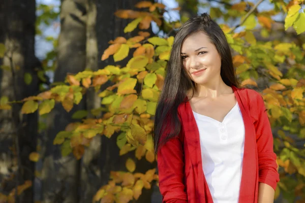 Junge Frau in romantischer Herbstkulisse — Stockfoto