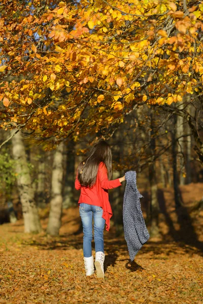 Giovane donna in un romantico scenario autunnale — Foto Stock