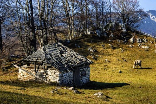 Ancienne maison située au sommet des Carpates — Photo
