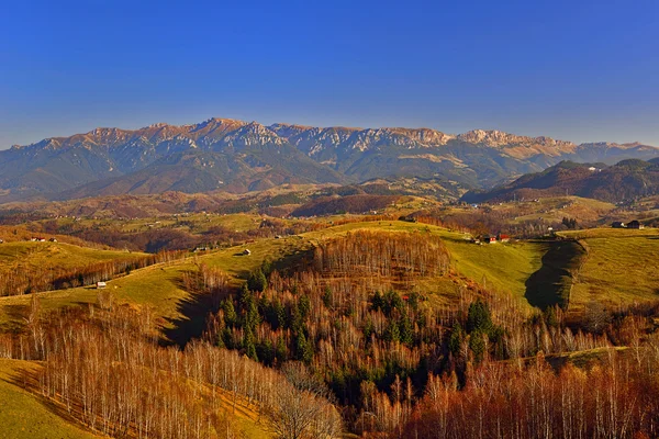 बुसेगी पर्वत, रोमानिया में पर्वत शरद ऋतु परिदृश्य — स्टॉक फ़ोटो, इमेज
