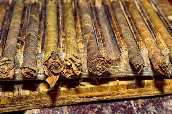 traditional handmade cigars in storage press