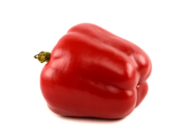 Röd paprika över vit bakgrund — Stockfoto