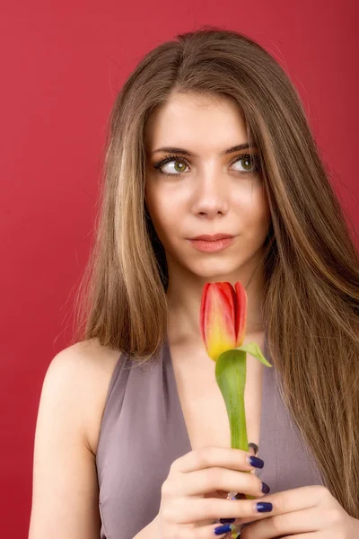 Teenager-Mädchen posiert mit Tulpe in den Händen auf rotem Hintergrund — Stockfoto