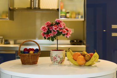 modern yaşam, meyve ve çiçek mavi iç mutfak