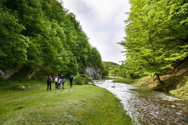 Grupo de excursionistas cruzar el vado del río montaña — Foto de Stock