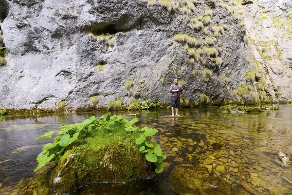 Corriente de montaña fluyendo con agua transparente y piedras en bot — Foto de Stock