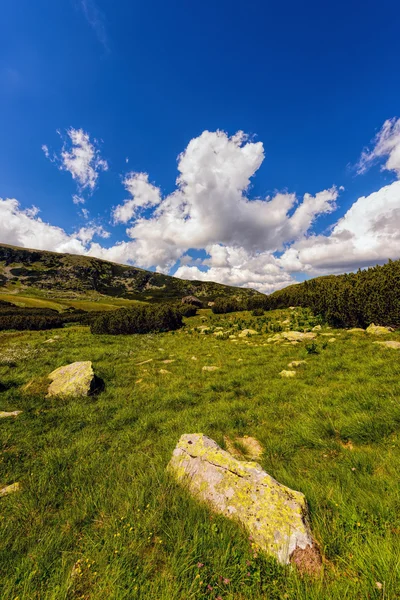 Krajina s nádherným parang pohoří v Rumunsku — Stock fotografie