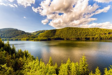 dağ gölü vidra yaz akşam görünümü (Romanya transalpin yakın