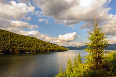 dağ gölü vidra yaz akşam görünümü (Romanya transalpin yakın