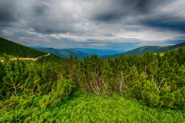 Schöne Berglandschaft mit dramatischen Wolken — Stockfoto