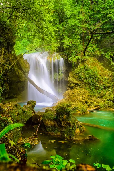 La Vaioaga Waterfall, Beusnita National Park, Romania — Stock Photo, Image