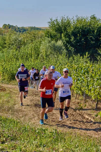 26 Eylül 2021: Romanya, Marcea, yarışma versiyonu no. Bir. Yerel düzeyde spor promosyonu, 6 km yarış.