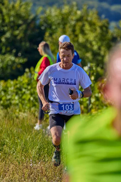 Septiembre 2021 Romania Marcea Running Competition Edición Uno Promoción Del — Foto de Stock