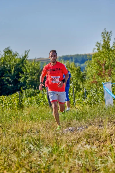 26 Eylül 2021: Romanya, Marcea, yarışma versiyonu no. Bir. Yerel düzeyde spor promosyonu, 6 km yarış.