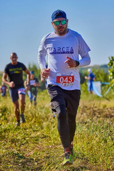 26 Eylül 2021: Romanya, Marcea, yarışma versiyonu no. Bir. Yerel düzeyde spor promosyonu, 6 km yarış.