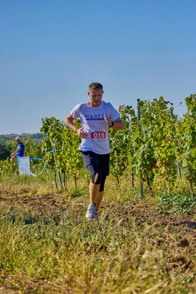 26 Eylül 2021: Romanya, Marcea, yarışma versiyonu no. Bir. Yerel düzeyde spor promosyonu, 6 km yarış.