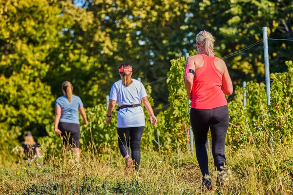 26 Eylül 2021: Romanya, Marcea, yarışma versiyonu no. Bir. Yerel düzeyde spor promosyonu, 6 km yarış.