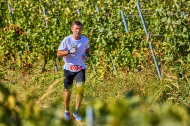 26 Eylül 2021: Romanya, Marcea, yarışma versiyonu no. Bir. Yerel bir spor, 12 km 'lik bir yarış. yarışmadan resimler.