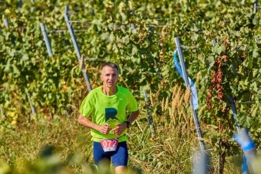 26 Eylül 2021: Romanya, Marcea, yarışma versiyonu no. Bir. Yerel bir spor, 12 km 'lik bir yarış. yarışmadan resimler.