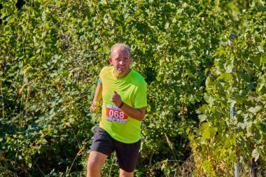 26 Eylül 2021: Romanya, Marcea, yarışma versiyonu no. Bir. Yerel bir spor, 12 km 'lik bir yarış. yarışmadan resimler.