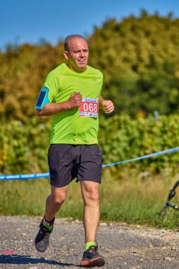 26 Eylül 2021: Romanya, Marcea, yarışma versiyonu no. Bir. Yerel bir spor, 12 km 'lik bir yarış. yarışmadan resimler.