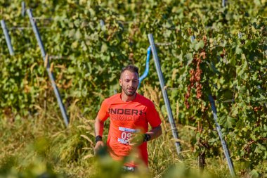 26 Eylül 2021: Romanya, Marcea, yarışma versiyonu no. Bir. Yerel bir spor, 12 km 'lik bir yarış. yarışmadan resimler.