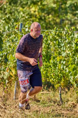 26 Eylül 2021: Romanya, Marcea, yarışma versiyonu no. Bir. Yerel bir spor, 12 km 'lik bir yarış. yarışmadan resimler.